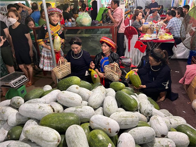 Du khách hào hứng với trải nghiệm sinh thái vùng bí xanh thơm Bắc Kạn (2/6/2022)